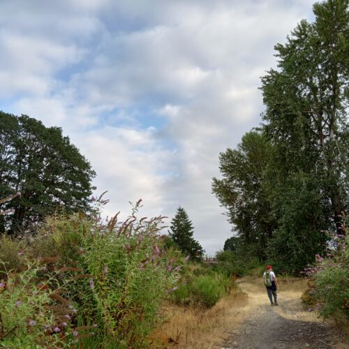 The property where a 2.5 million square-foot warehouse is being proposed in South Tacoma. Photo courtesy of Michelle Mood.