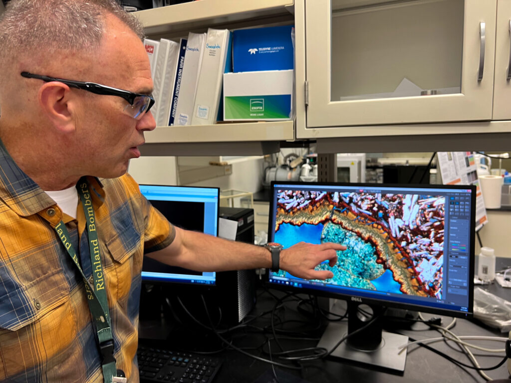 A man in a yellow and blue plaid shirt points at an image on a computer screen that has blue, brown and white colors all swirled together. The man is standing in front of a black table and white cabinets that have white binders in them.