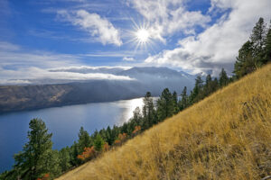 The sun shines above a bright blue lake next to a golden field of grasslands surrounded by evergreen trees.