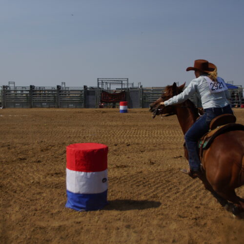 A woman with a blue shirt and a cowboy hat barrel races atop a brown horse at the Denver Gay Rodeo 2021.