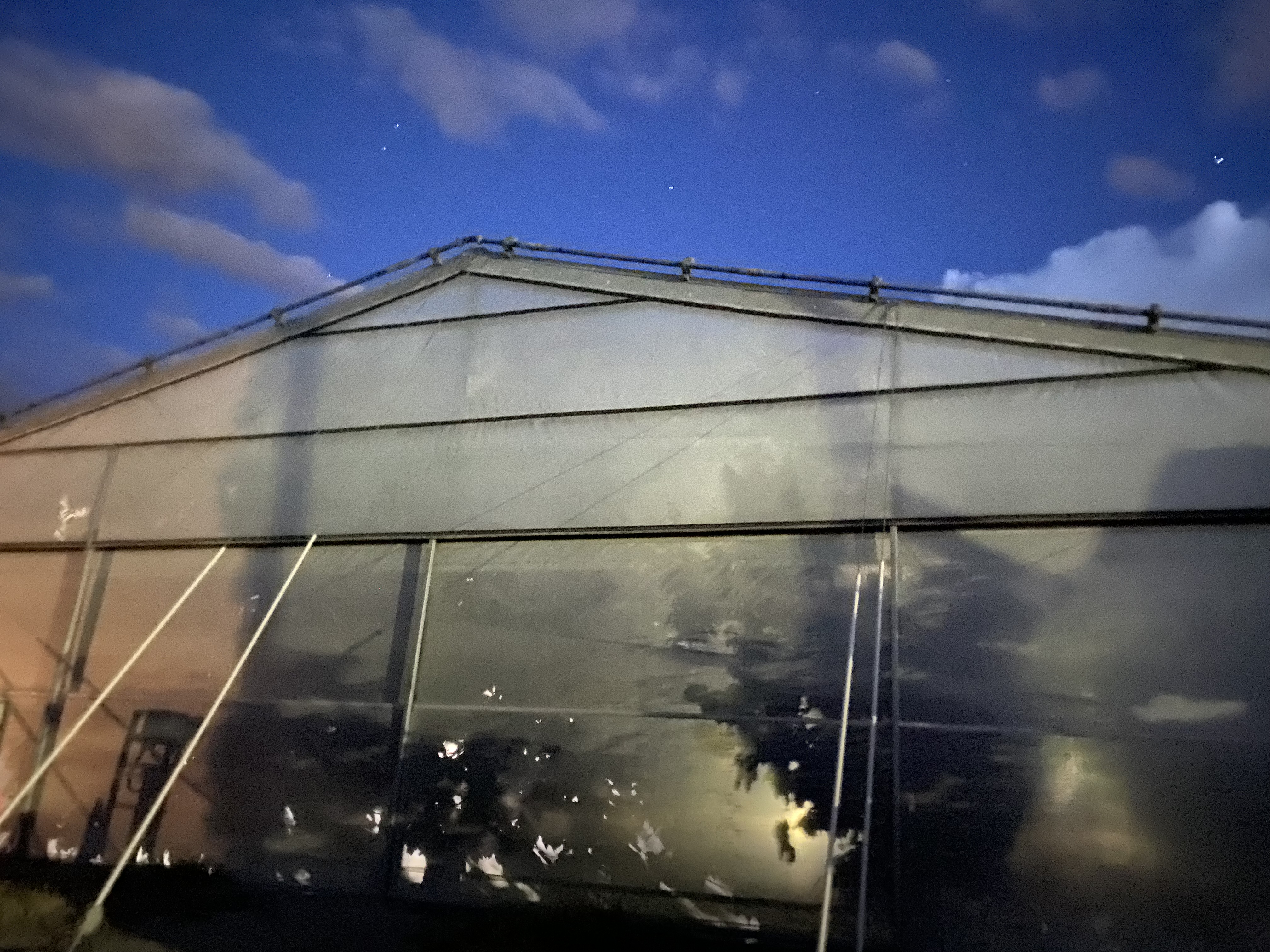 Headlamps inside a greenhouse illuminate the cherry trees at River Valley Fruit, outside Kennewick, Washington. This is one of only greenhouses in the United States for Rainier cherries 