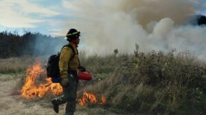 imagen de un bombero atendiendo un incendio forestal