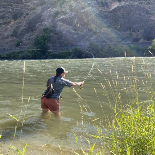 Ashtyn Harris of Ellensburg fishes the Yakima River Canyon using a type of caddis dry fly. Although sometimes annoying, the caddisflies are excellent food for fish and fowl