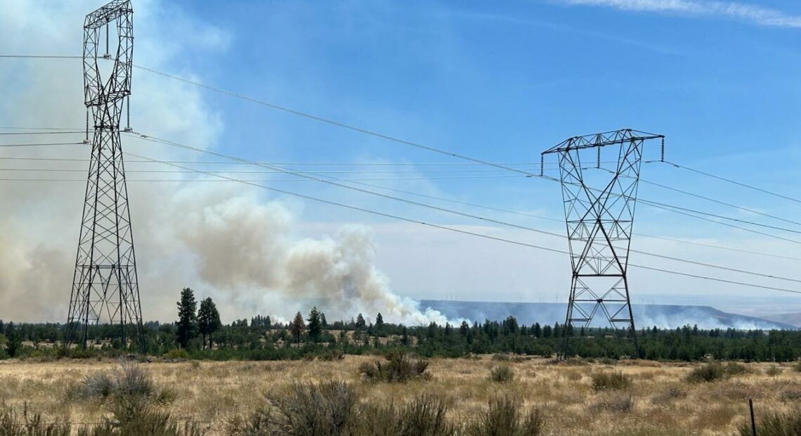 Shrubs and trees and transmission lines are in the foreground of the picture. White smoke rises in behind them in the background of the picture.