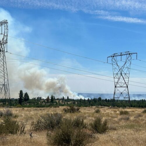 Shrubs and trees and transmission lines are in the foreground of the picture. White smoke rises in behind them in the background of the picture.