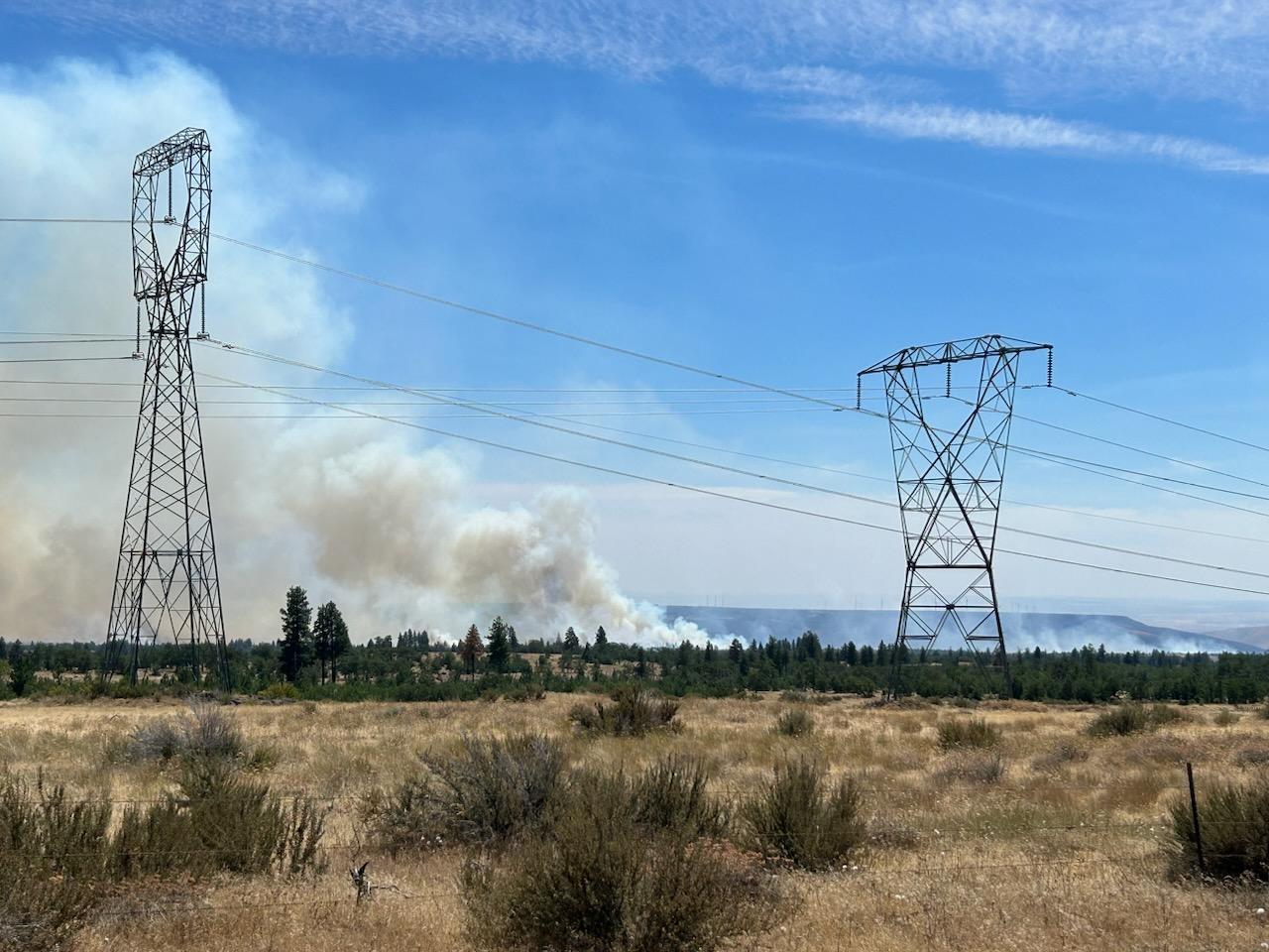Shrubs and trees and transmission lines are in the foreground of the picture. White smoke rises in behind them in the background of the picture.