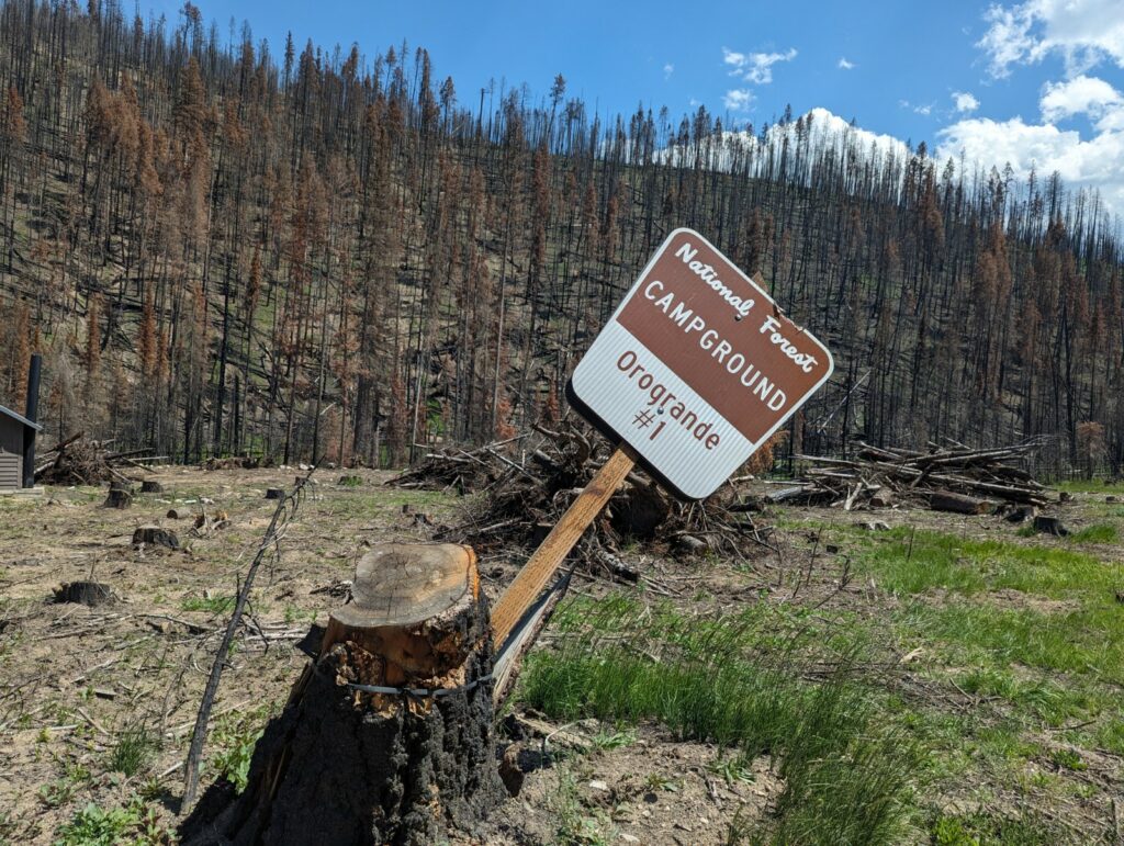A crooked sign that reads "Orogrande Campground" sits sideways by a stump in front of burned trees. 