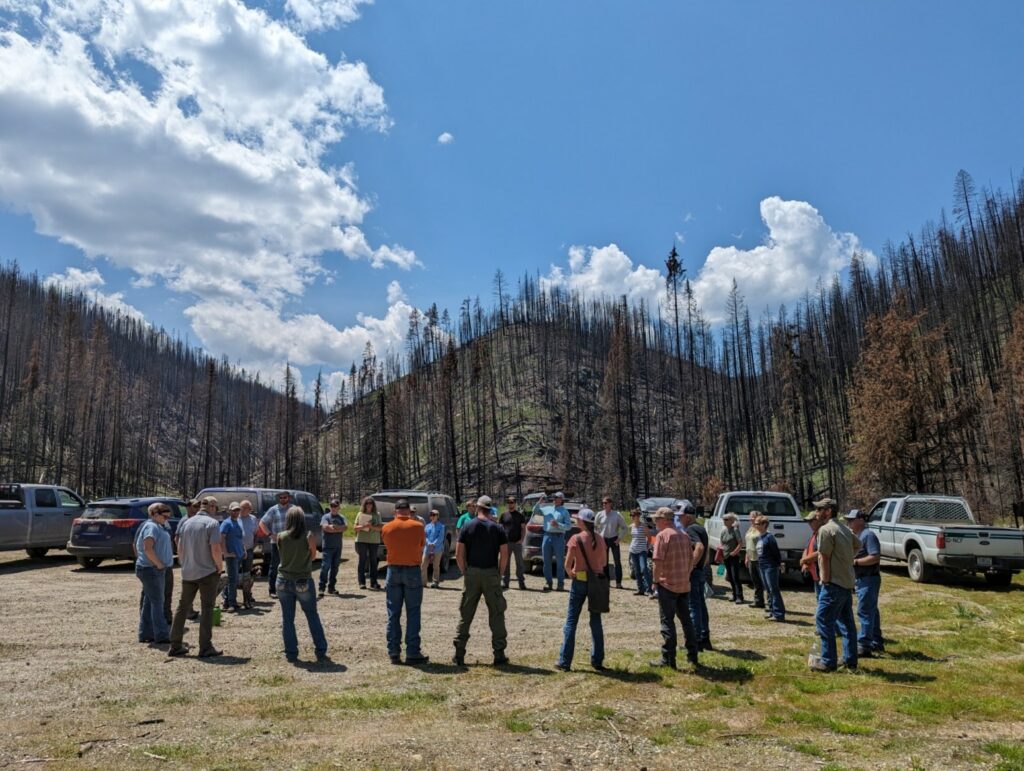 A group of people stand in a circle chatting in front of smokey colored mountains with burned trees. 