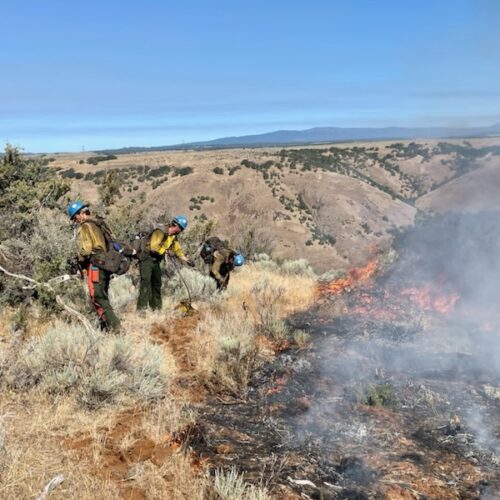An orange fire, blackened grass and white smoke are in the right hand corner of the picture. On the left side of the picture, four people wearing blue helmets, yellow long sleeve shirts and green pants cary black backpacks and dig a line through the brown grass and green sagebrush. The four people are covered in black soot.