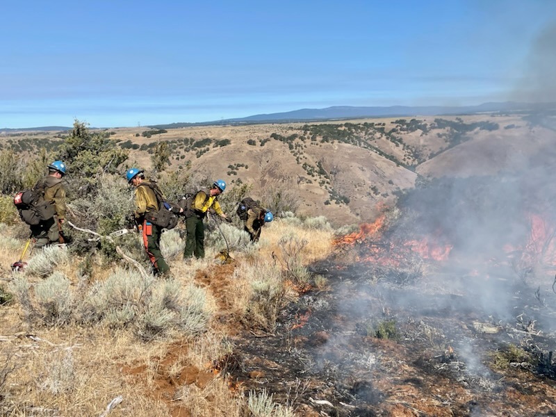 An orange fire, blackened grass and white smoke are in the right hand corner of the picture. On the left side of the picture, four people wearing blue helmets, yellow long sleeve shirts and green pants cary black backpacks and dig a line through the brown grass and green sagebrush. The four people are covered in black soot.
