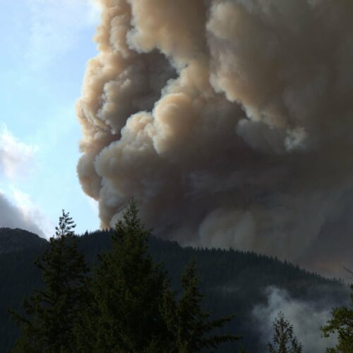 The Sourdough Fire has consumed 1,710 acres of forest since starting July 29. // CREDIT: Washington State Department of Transportation North on Twitter.
