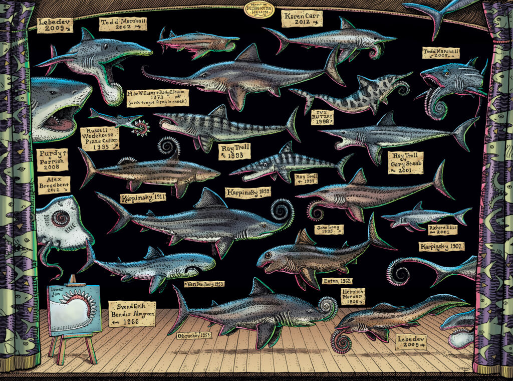 A large poster shows drawings and different possibilities of what the helicoprion shark could have looked like.