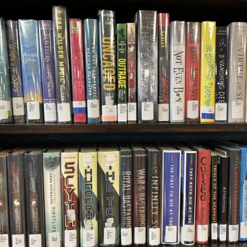Young adult books at the Columbia County Library. Some people have requested to move the YA section into the adult section because of what they call "obscene" material in 100 of the around 800 books. (Credit: Courtney Flatt / Northwest News Network)