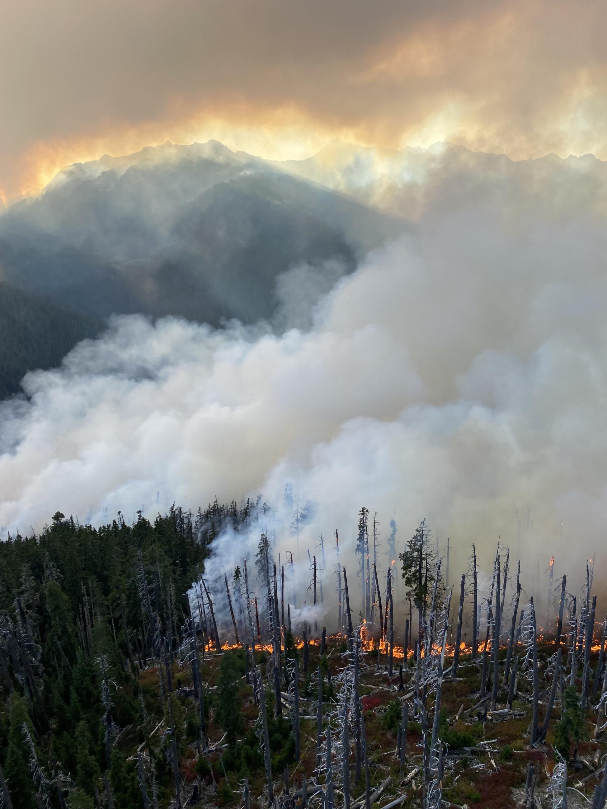 Drew Eubanks launches 'Heart for Oregon' campaign for Oregon Food Bank  during widlfires