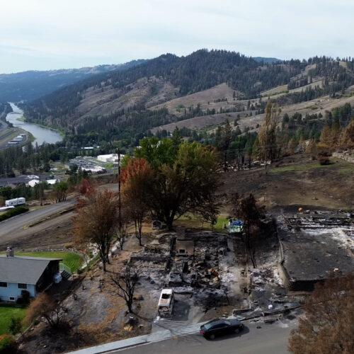 A birds eye view of the Wison Heights neighborhood shows multiple houses burned but a blue house unscathed.