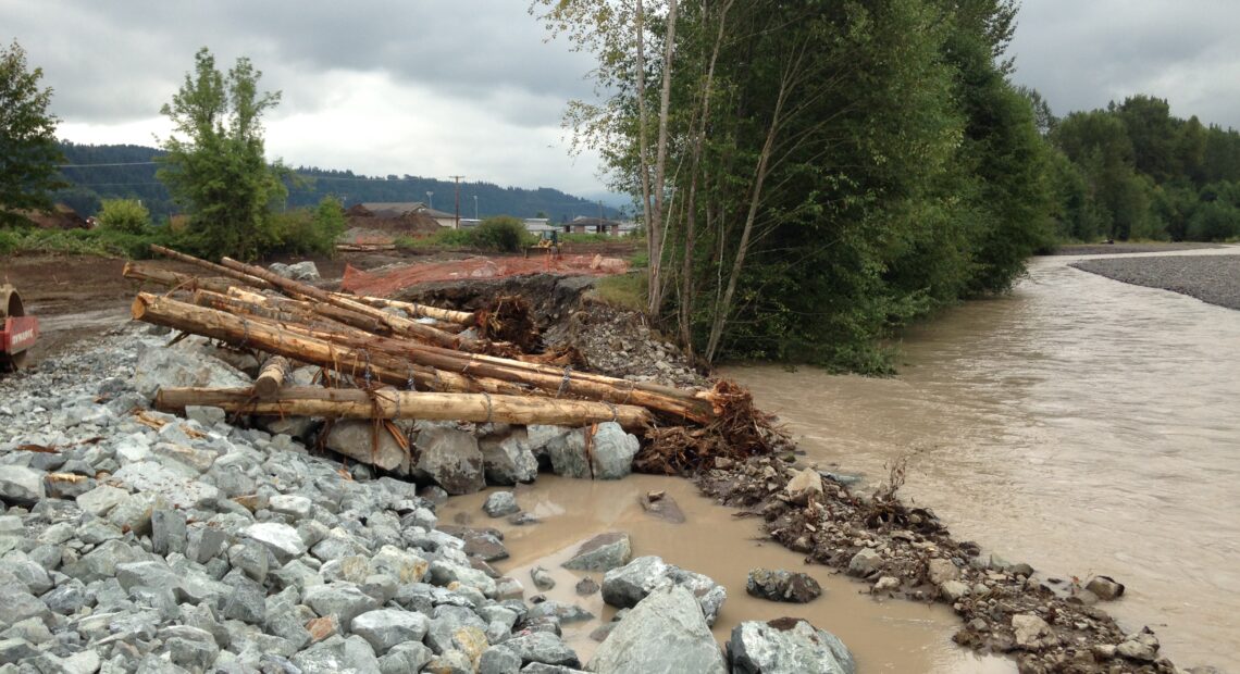 The Calistoga Reach Levee Set Back in Pierce County is an engineered levee set back to help the river flow in a more natural way. The project was part of a larger Floodplains by Design grant. // Courtesy the Washington State Department of Ecology