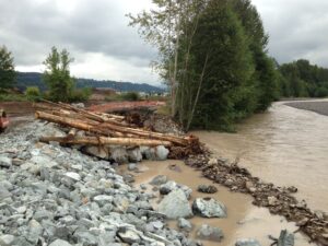 The Calistoga Reach Levee Set Back in Pierce County is an engineered levee set back to help the river flow in a more natural way. The project was part of a larger Floodplains by Design grant. // Courtesy the Washington State Department of Ecology