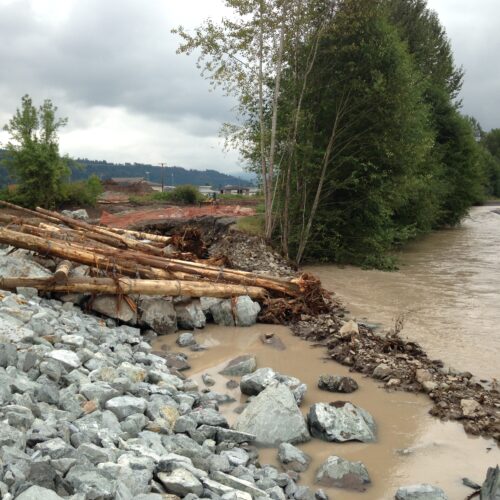 The Calistoga Reach Levee Set Back in Pierce County is an engineered levee set back to help the river flow in a more natural way. The project was part of a larger Floodplains by Design grant. // Courtesy the Washington State Department of Ecology