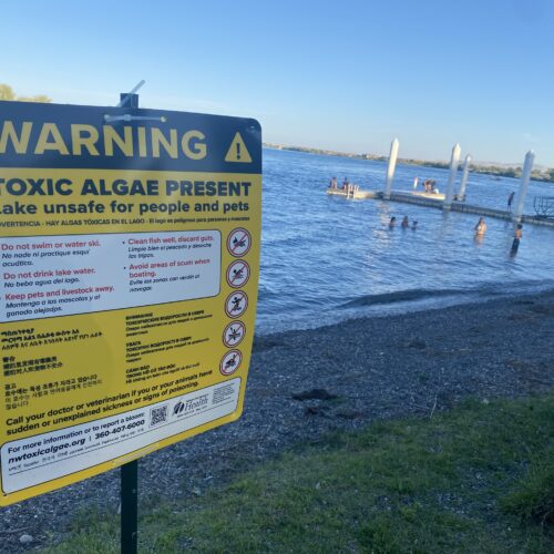 Children play recently at Howard Amon park in Richland, near a sign warning of toxic algae