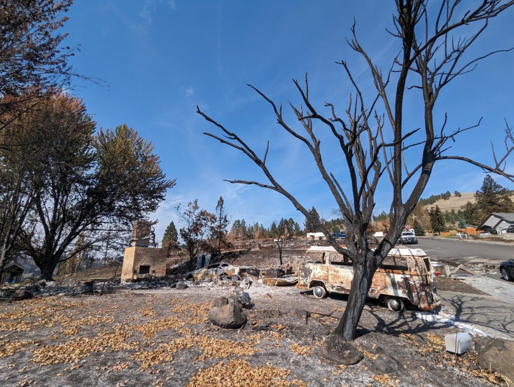 A burned Volkswagon Van sits near a blackened tree.