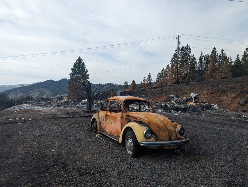 A burned, orange Volkswagon bug sits alone in an ashy driveway with trees in the distance.