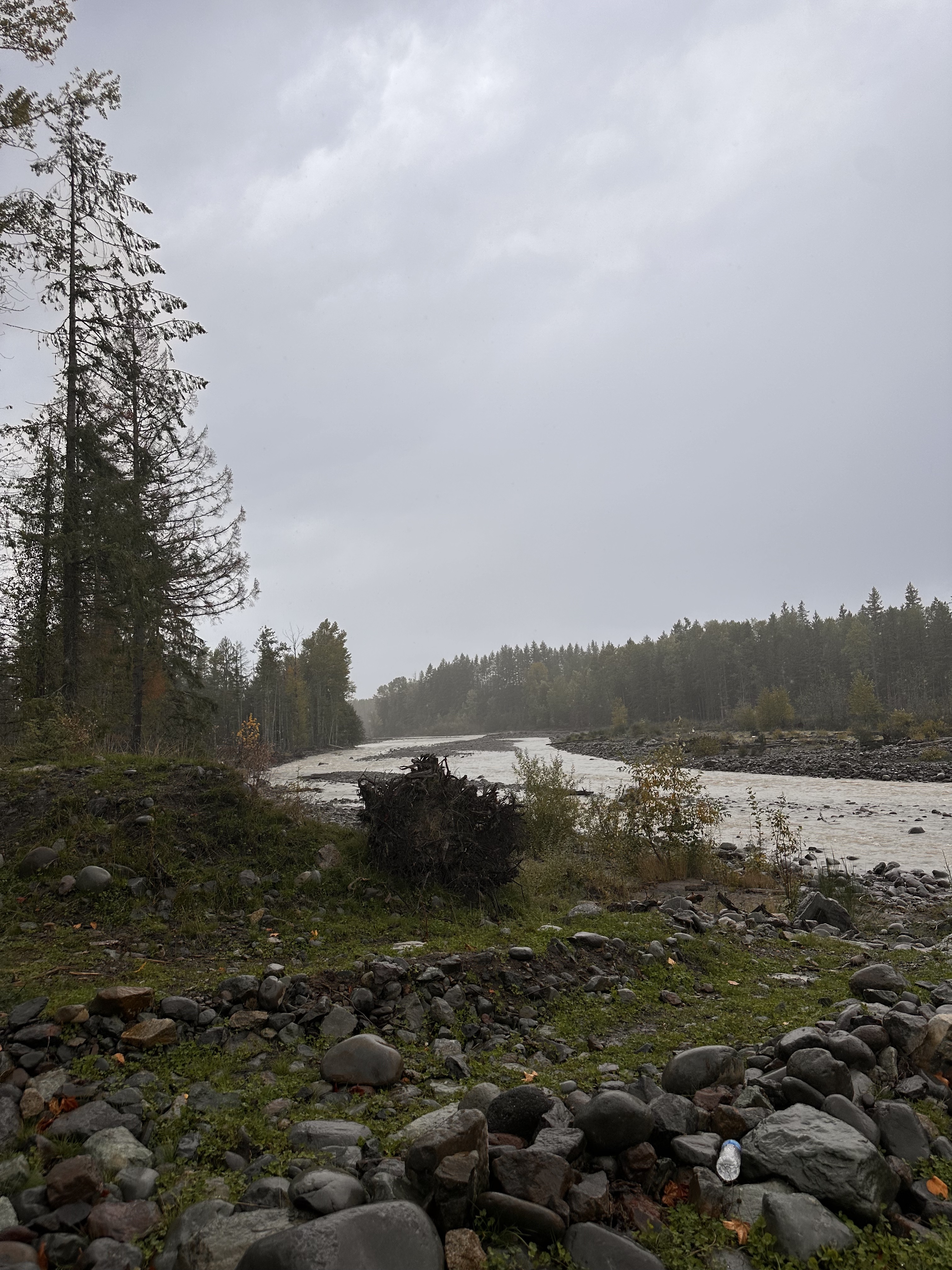 By setting the levee back, the river has more roam to meander as its volume varies. (Credit: Lauren Gallup / NWPB)