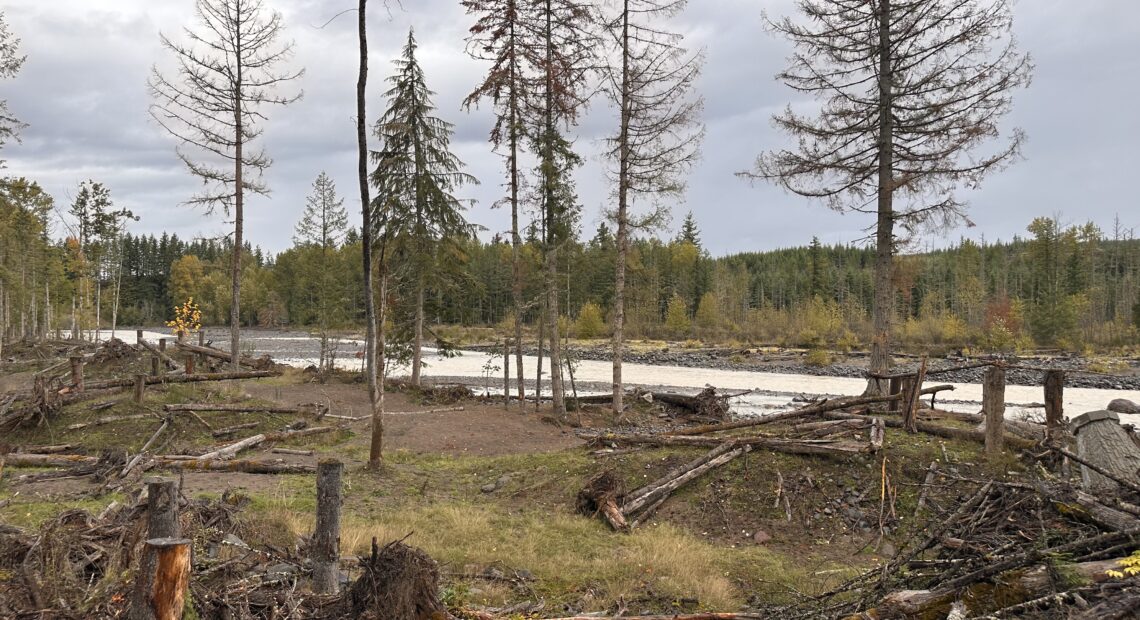 The Orville Road Setback Revetment was completed in 2022, to set a levee back from the Puyallup River in Pierce County. (Credit: Lauren Gallup / NWPB)