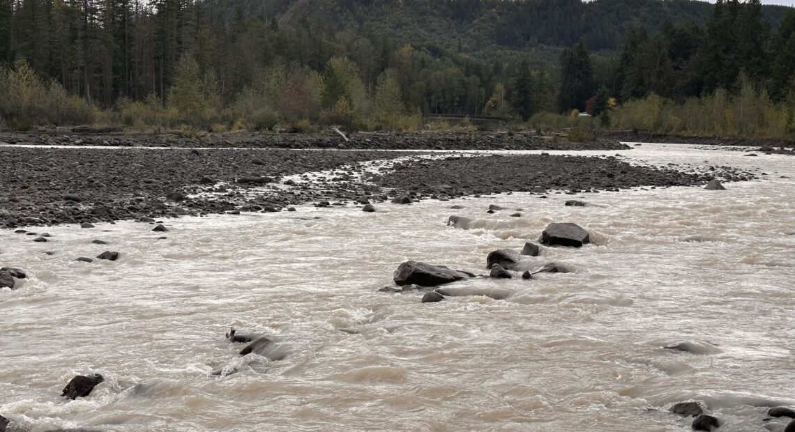 In Pierce County, levee setbacks have been completed along rivers, including the Puyallup. This picture shows the river running near the Orville Road Setback Revetment. Projects like these are included in the new flood hazard management plan. (Credit: Lauren Gallup / NWPB)