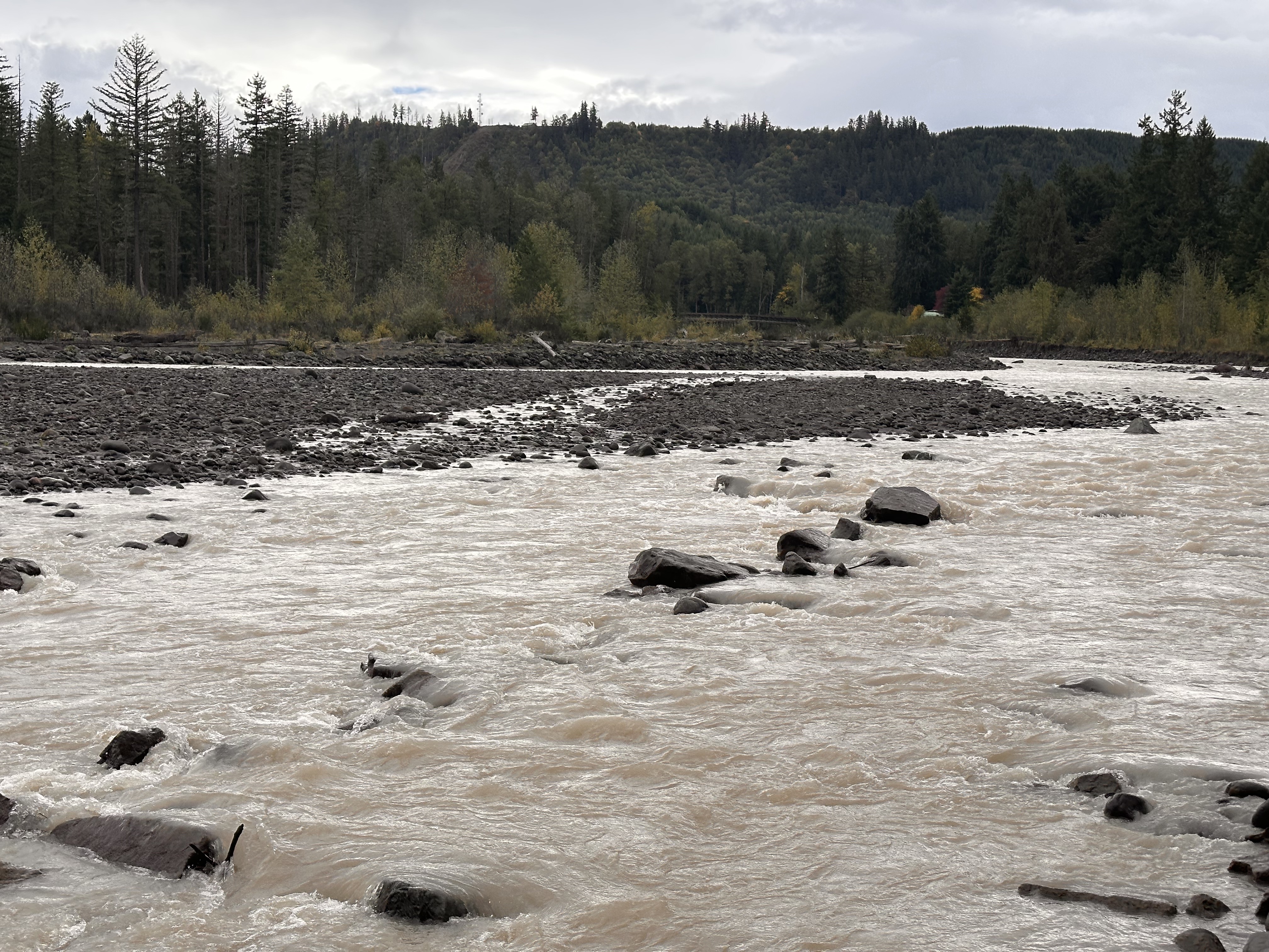 In Pierce County, levee setbacks have been completed along rivers, including the Puyallup. This picture shows the river running near the Orville Road Setback Revetment. Projects like these are included in the new flood hazard management plan. (Credit: Lauren Gallup / NWPB)