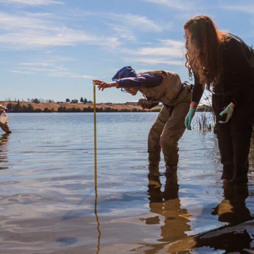 U.S. Environmental Protection Agency scientists Rochelle Labiosa (right) and Lil Herger examine the Columbia River for toxic algae as Jason Pappani leans over to reach into the water