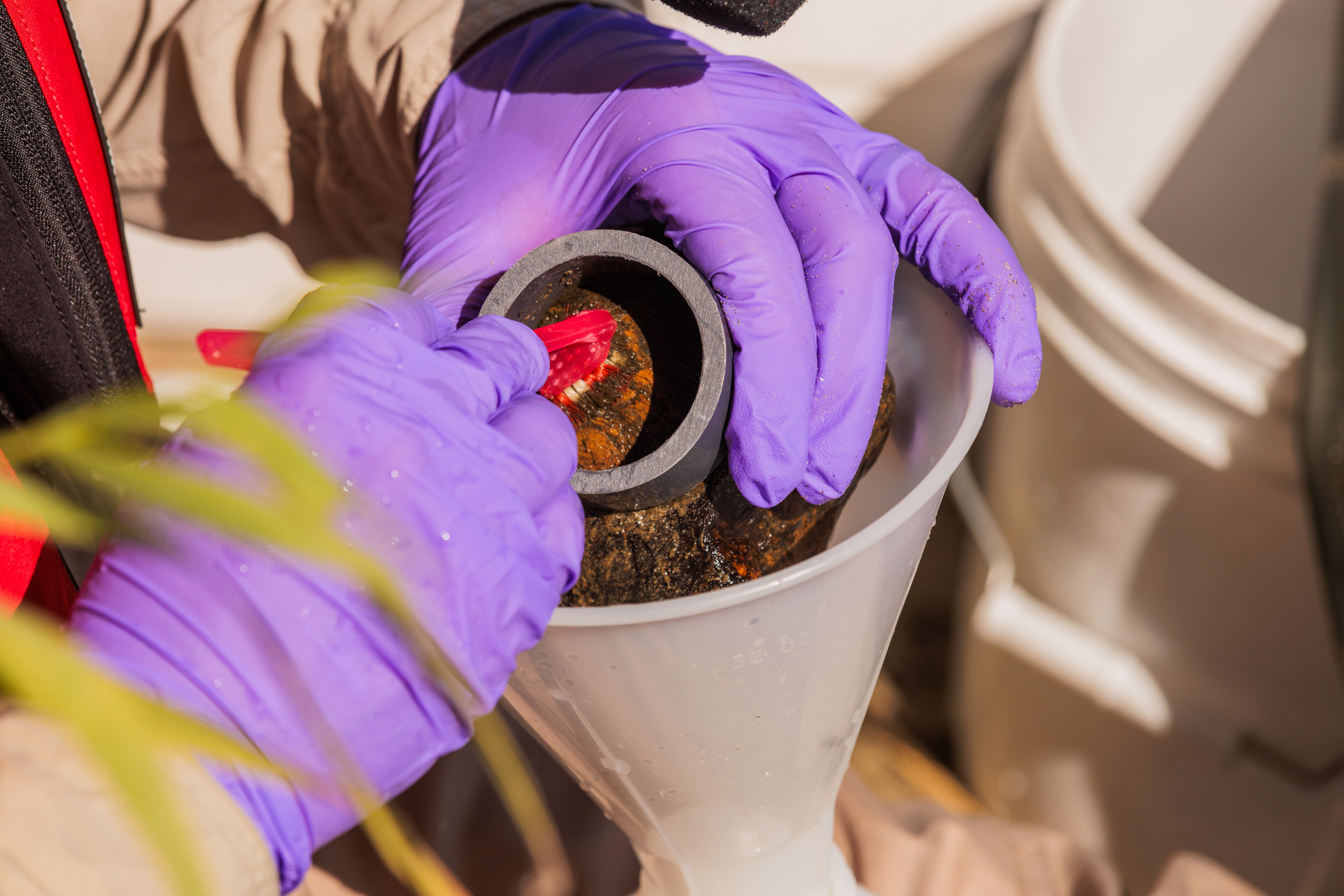 EPA scientist Jason Pappani scrapes a measured area inside a loop with a toothbrush and then rinses the loose algae into a container for analysis back at a lab