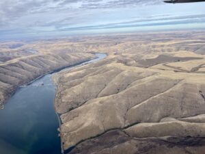 Blue-green algae seen behind Lower Granite dam on the Snake River. (Credit: Courtney Flatt / Northwest News Network)