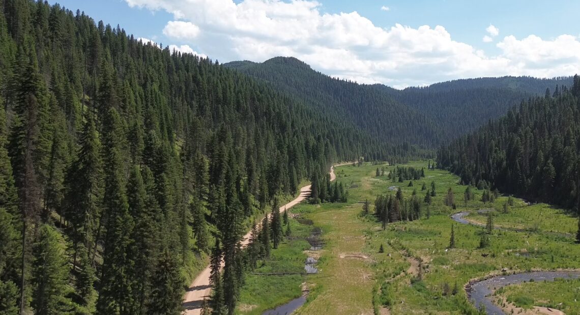 A drone photo shows a remote dirt road next to a green meadow surrounded by mountains covered by evergreen trees.