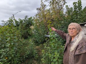 Miriam Kent points to a spot in her yard where a large tree once stood. 