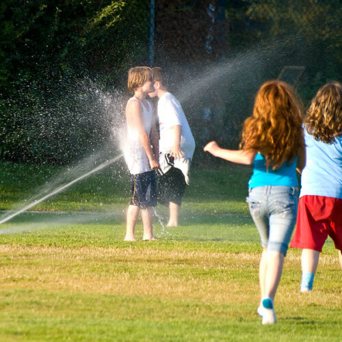 four red-headed kids play in a sprinkler. Two are wearing blue shirts and shorts. Two are wearing white shirts and black shorts. They are running through greenish brownish grass.