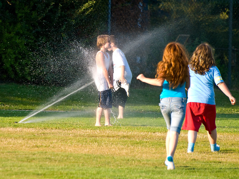 four red-headed kids play in a sprinkler. Two are wearing blue shirts and shorts. Two are wearing white shirts and black shorts. They are running through greenish brownish grass.