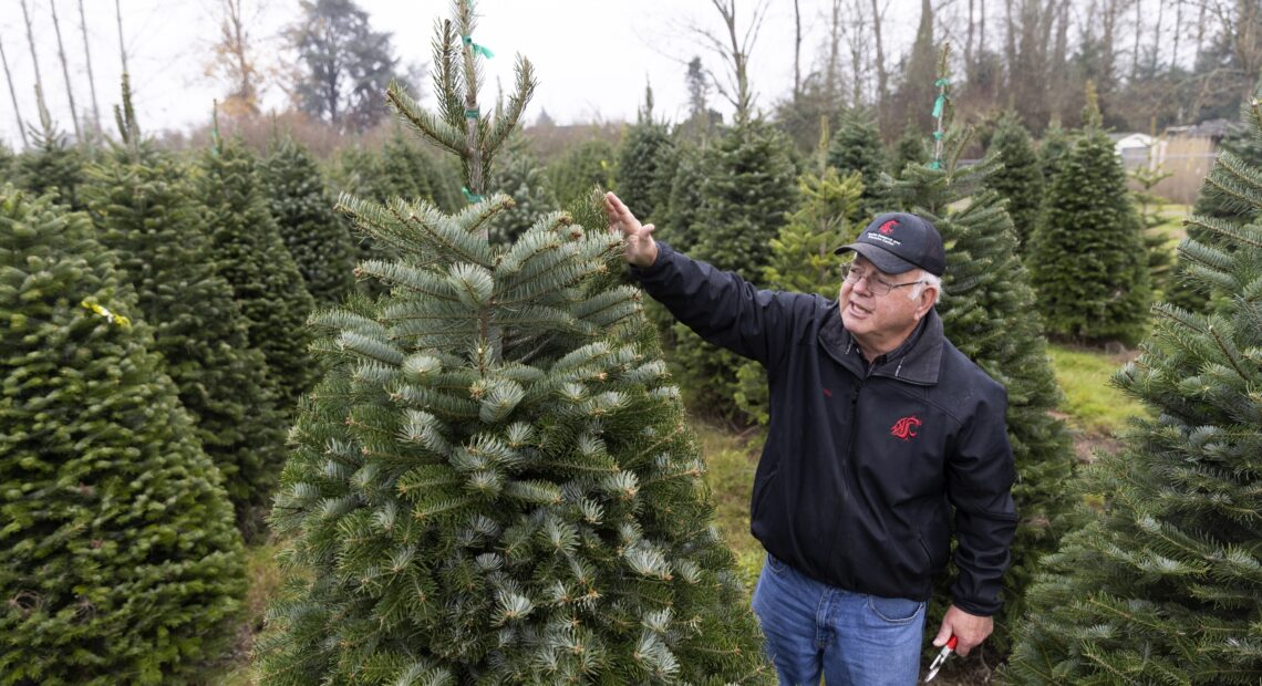 Gary Chastagner stands near a green fir tree while wearing a black WSU jacket and jeans.
