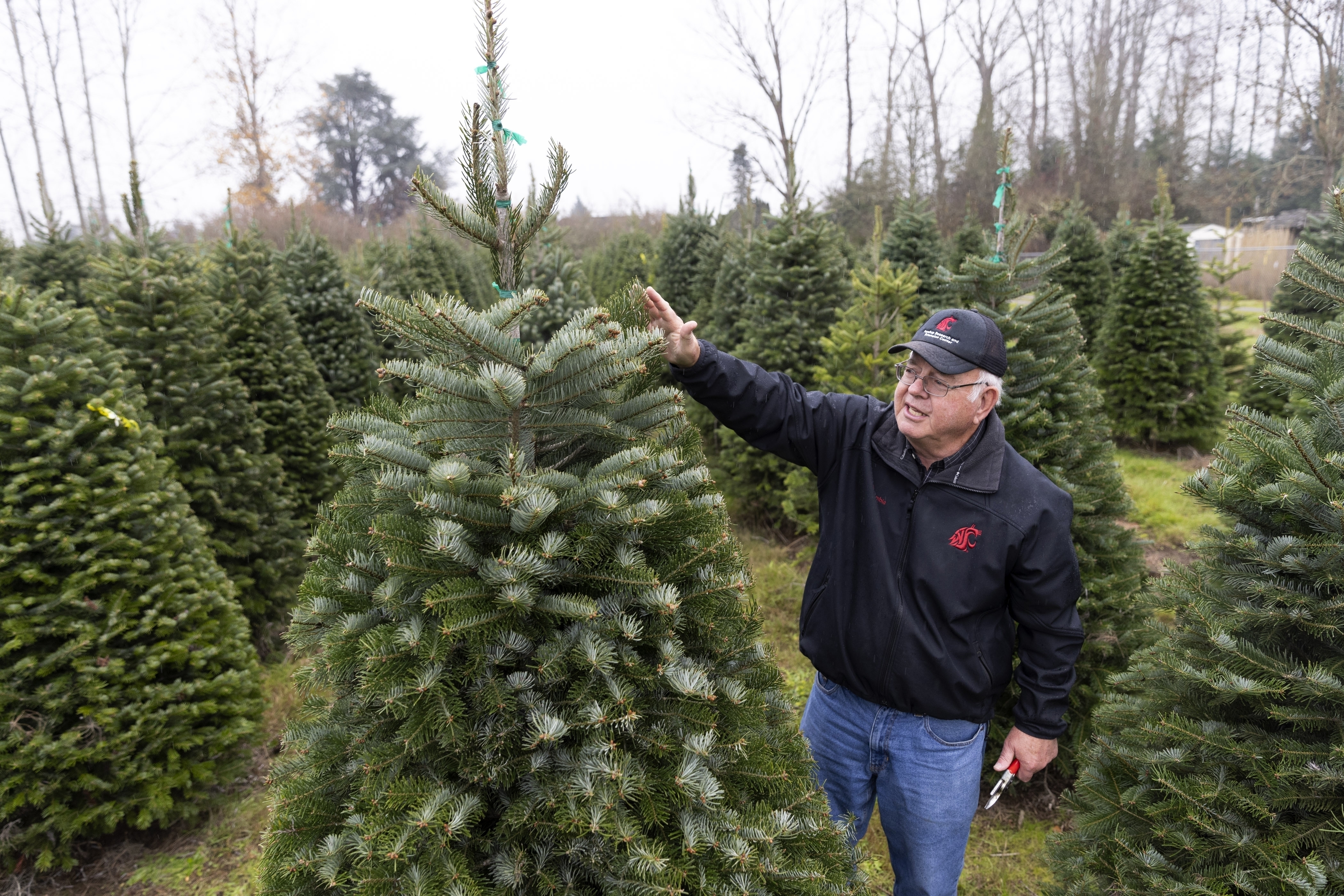 Gary Chastagner stands near a green fir tree while wearing a black WSU jacket and jeans.