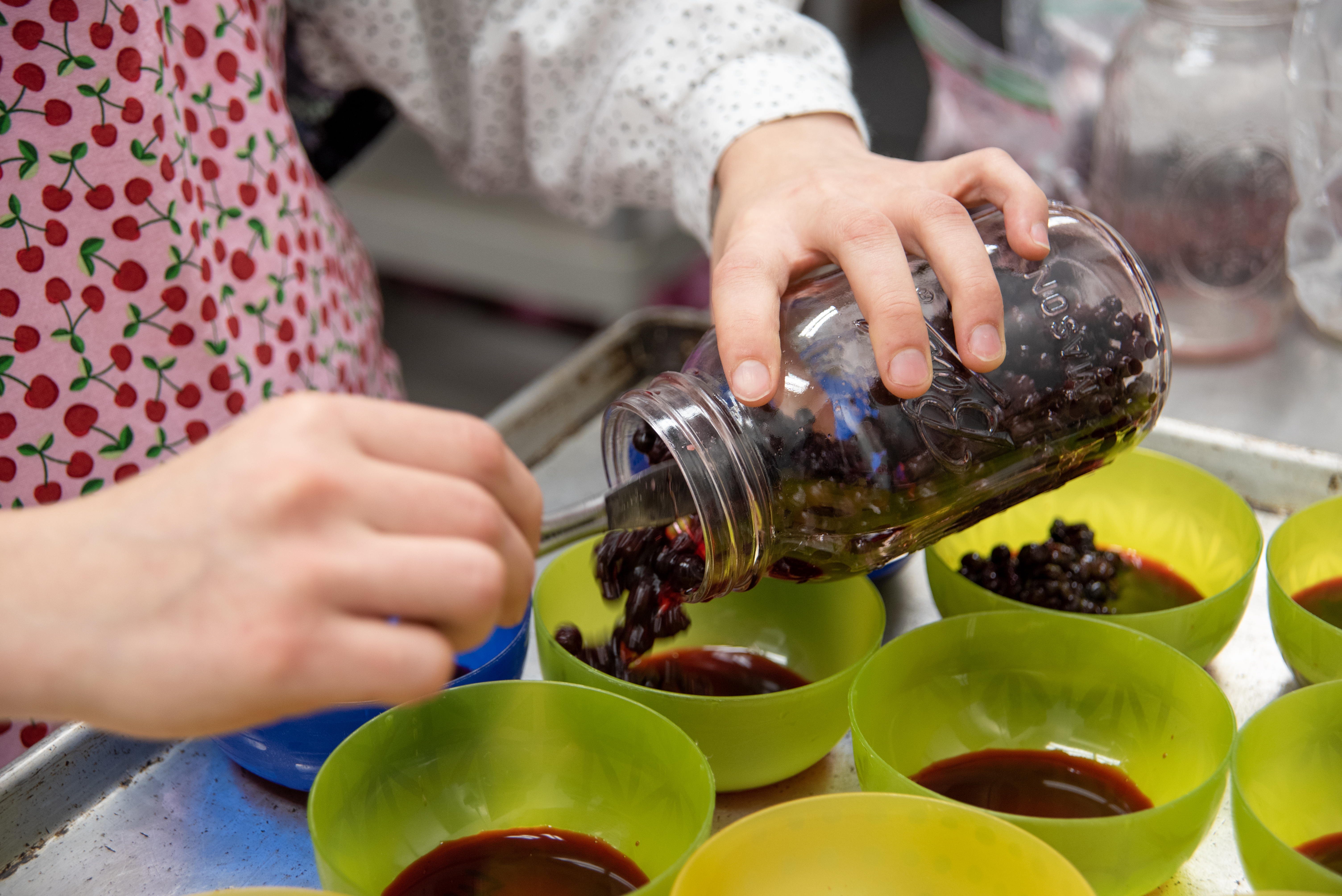 Cloe McMichael prepares trays of huckleberries, a sacred first food for Northwest tribes, for the Confederated Tribes of the Umatilla Indian Reservation annual Indian New Year feast on Dec. 21 in Mission, Oregon 