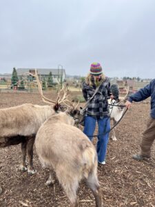 Two tan reindeer are standing near a woman in a blue and grey checkered coat and blue jeans. She's holding a tan bag and a gray microphone.