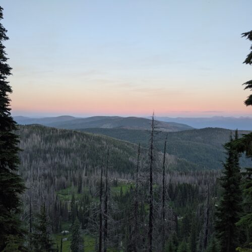 A sunrise over blue mountains. The mountains are dotted with evergreen trees.