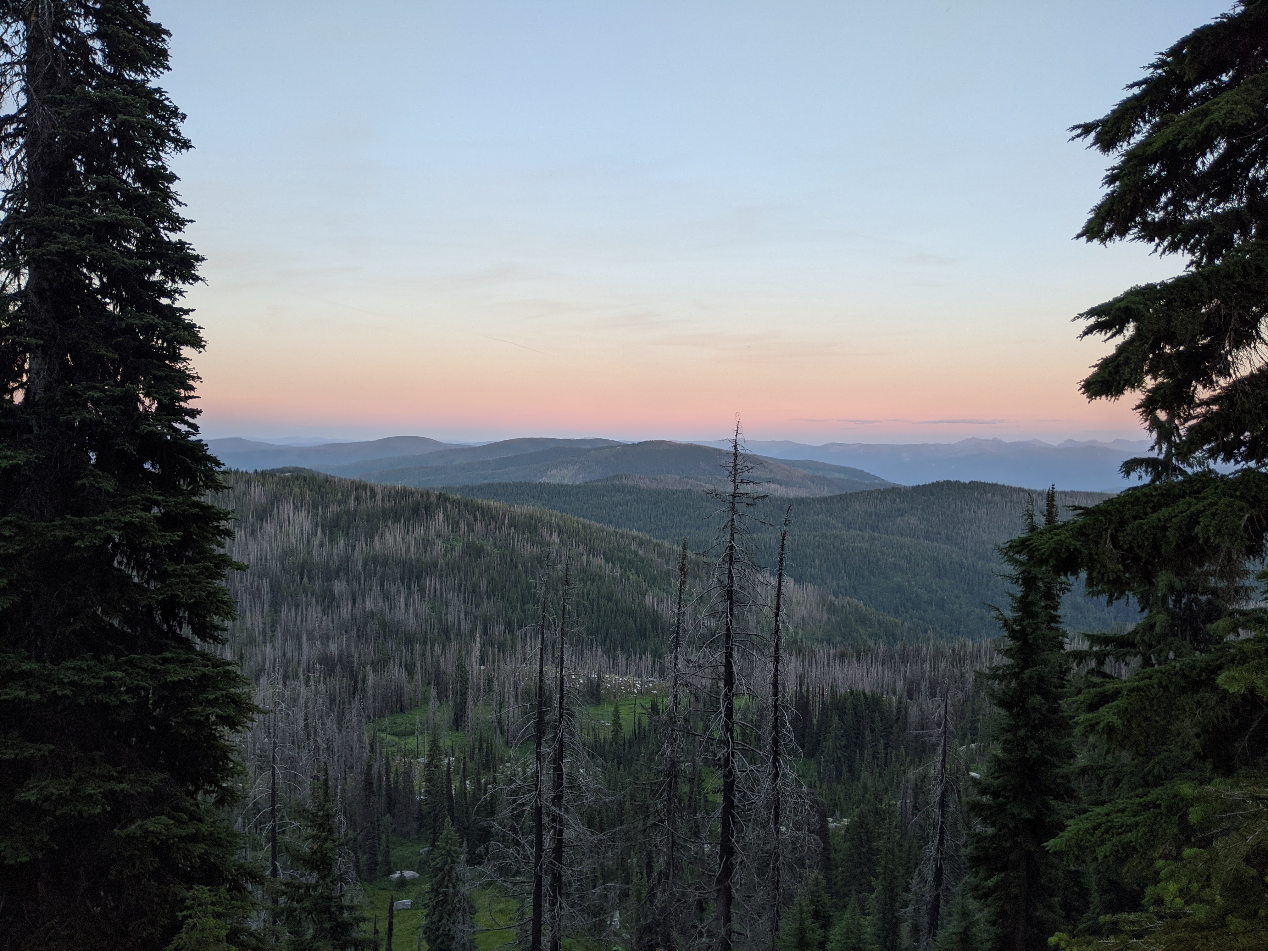 A sunrise over blue mountains. The mountains are dotted with evergreen trees.