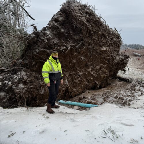 nd icy conditions over the past several days, utility workers, like Alivia Pence, struggled to keep the taps on in Corbett, Oregon. (Credit: Steve Young)