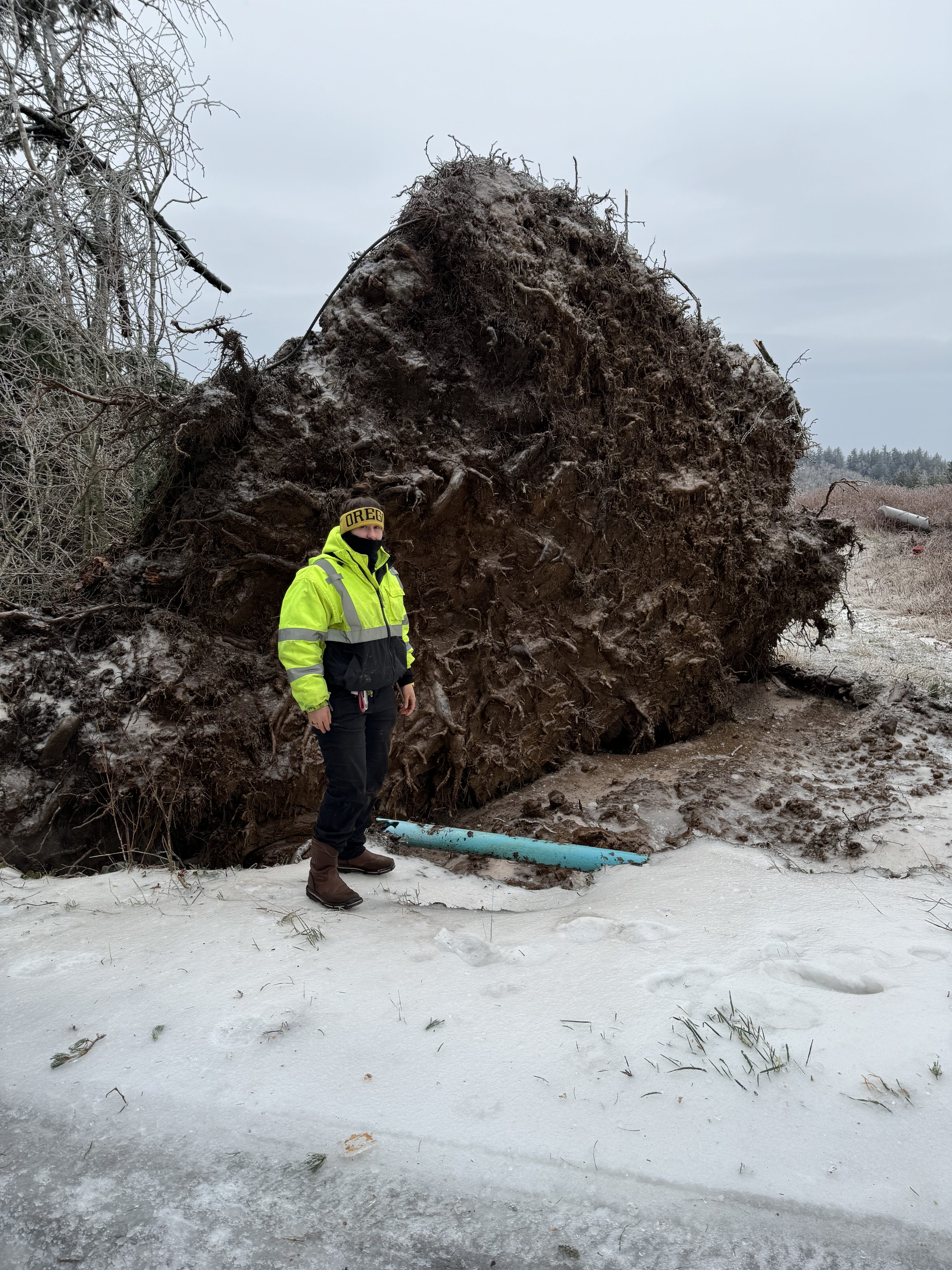 With trees falling over, heavy snows and icy conditions over the past several days, utility workers, like Alivia Pence, struggled to keep the taps on in Corbett, Oregon.