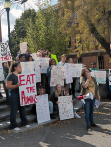Students hold white signs with writing behind a student with a megaphone speaking into a microphone on grey gravel steps on the W-S-U Pullman campus.