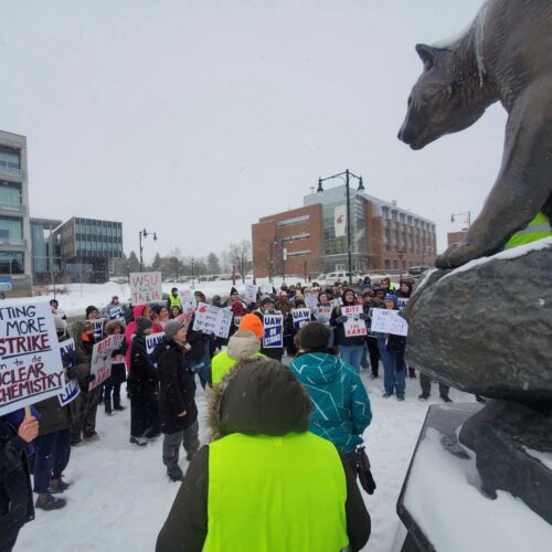 Students stand with handmade signs in the snow on the Pullman WSU campus. A cougar statue is seen nearby.