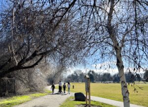 People walk along a trail at Leslie Groves Park in Richland, Wash. (Credit: Courtney Flatt / Northwest News Network)