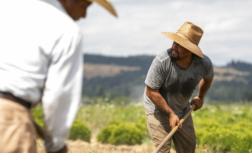 Two men work in a field