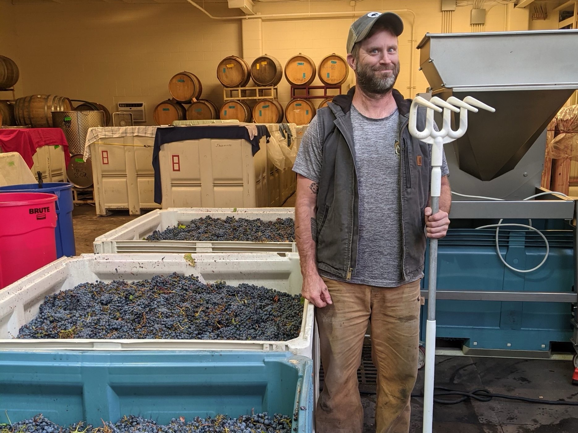 Corey Schuster during the 2021 harvest in a Portland, Oregon, winemaking facility. 