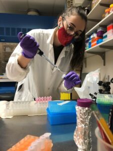 Researcher Sara Hutton, a doctoral graduate of OSU, extracts RNA for qPCR to test gene expression of genes effected by pyrethroid exposure in the different generations of inland silverside fish. (Credit: Sara Hutton / Oregon State University)